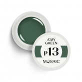 Mosaic Color Gel пигментированный гель (P13. A'My Green)