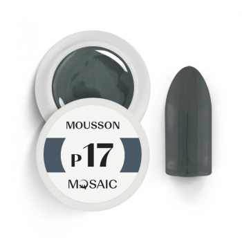 P17. Mousson