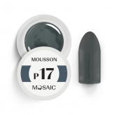 Mosaic Color Gel пигментированный гель (P17. Mousson)