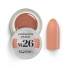 Mosaic Color Gel värvline geel (M26. Gorgeous Peach)