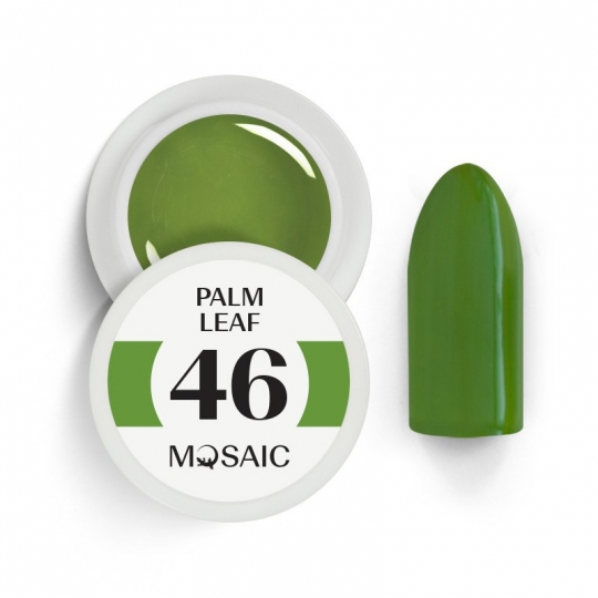 46. Palm leaf