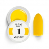 Mosaic Color Gel (1. Sunny Fruit)