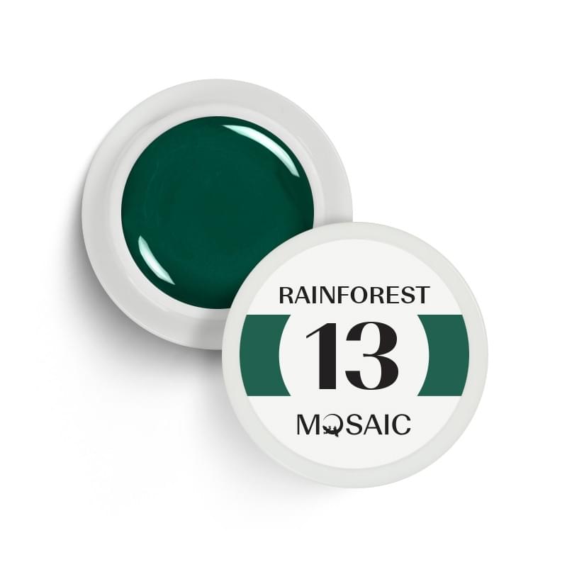 13. Rainforest