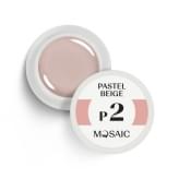 Mosaic Color Gel värvline geel (P2. Pastel Beige)