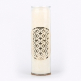 Flower of life white küünel