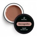 Mosaic Liquid Acrylic Gel (Incognito)